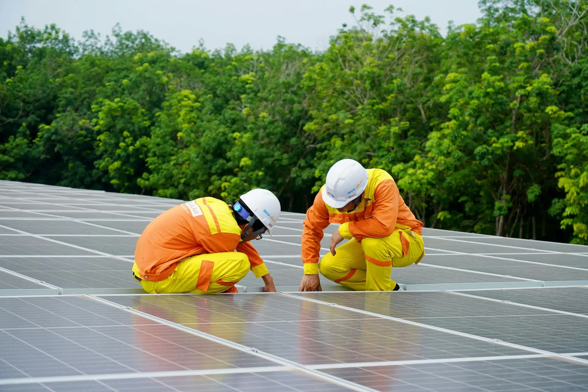 Eficiencia energética